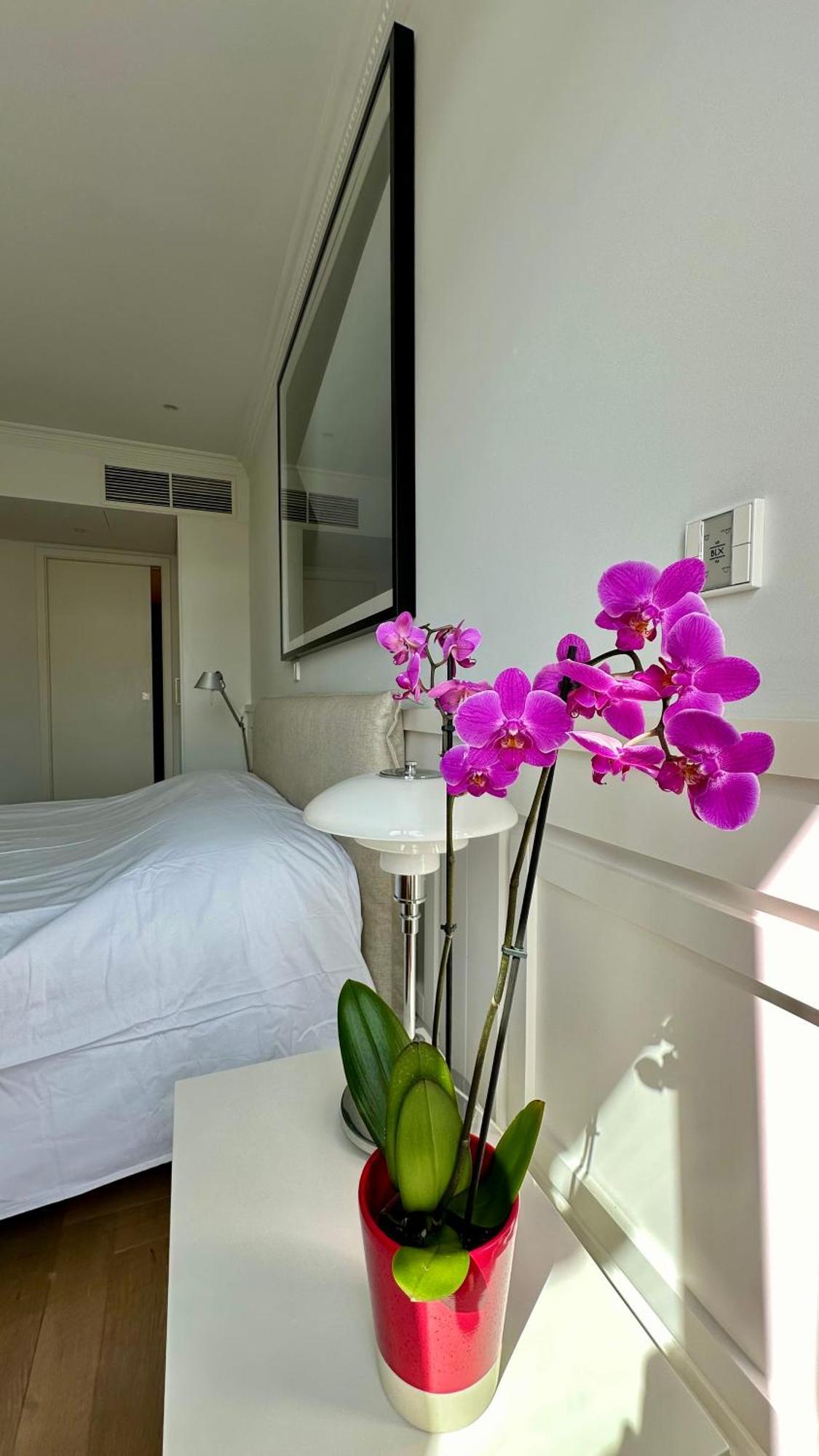 Lejlighed Rossio Luxury Lisboa